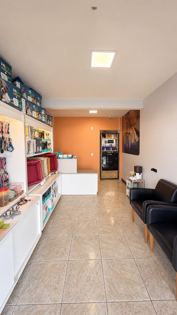 Recepção da Miaudog com área de espera e varejo pet